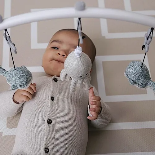 Les Petits Marmots | Baby gym - Arche d'éveil et ses accessoires