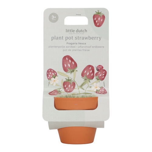 Les Petits Marmots | Kit de plantation - Fraises